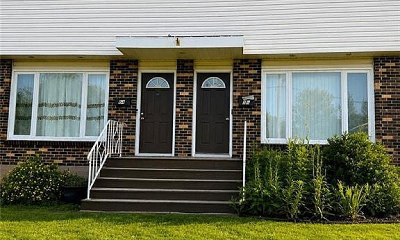 66 Whitney Avenue Mo...