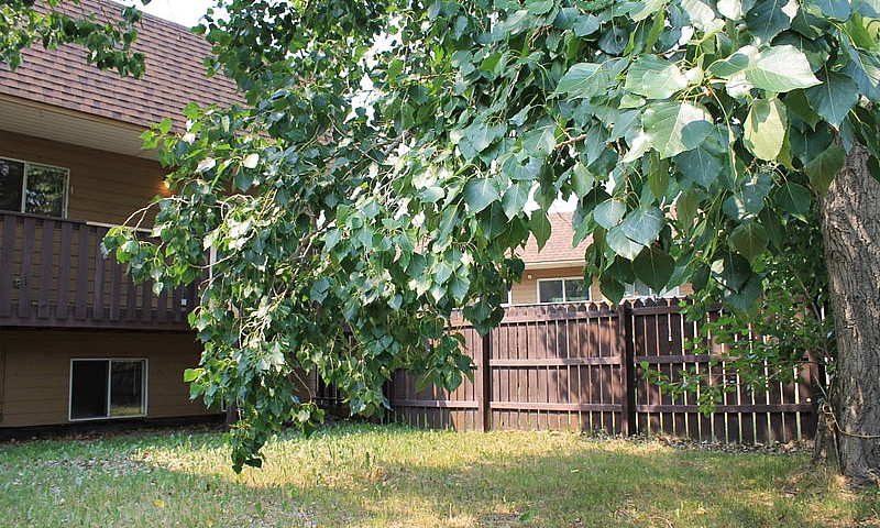 Loran Townhomes - 3 ...