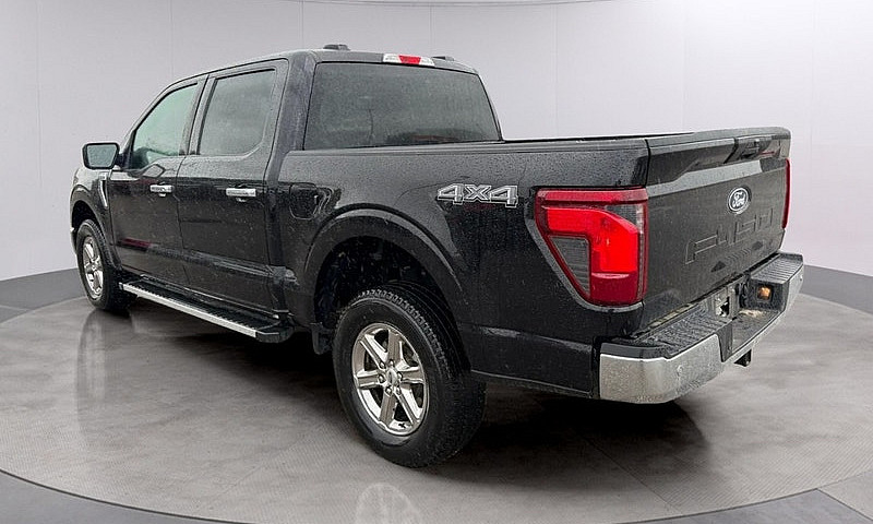 2025 Ford F-150 Xlt ...