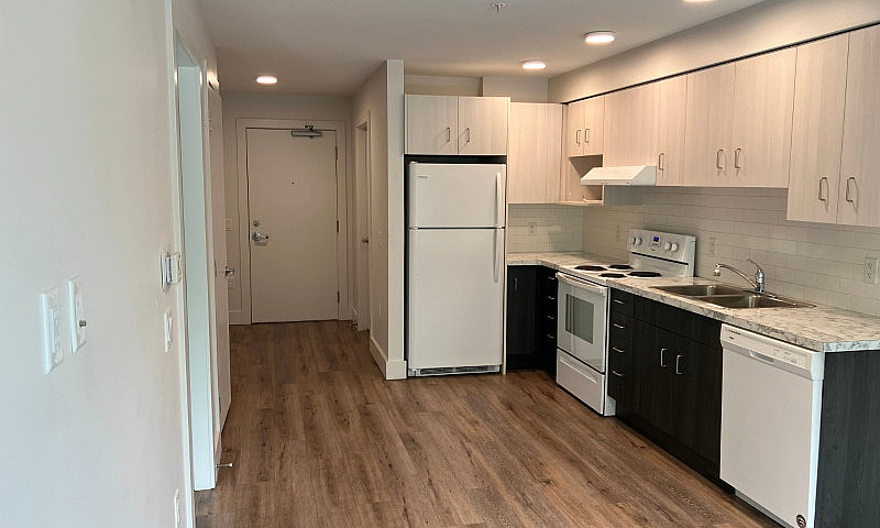 1 Bedroom Apartment ...