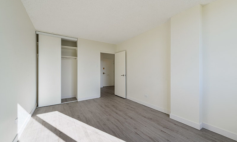 Studio Premium - 962...