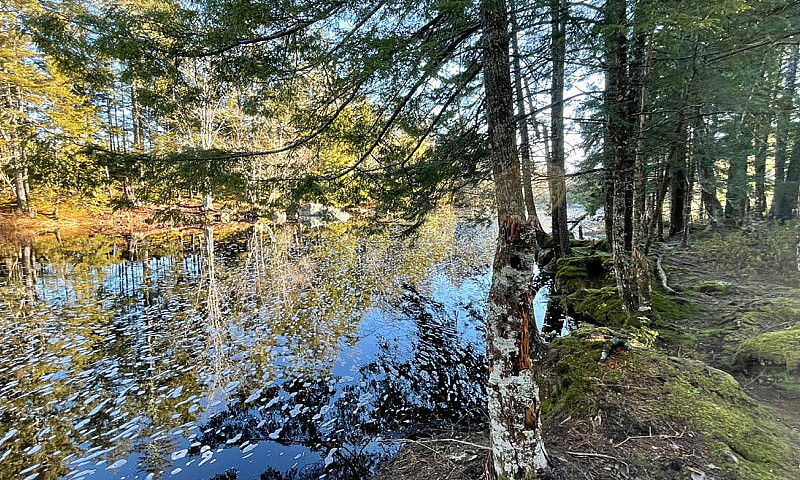 13.95 Acre Riverfron...