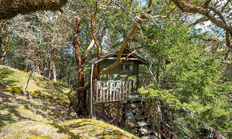 Elevated Acreage Wit...