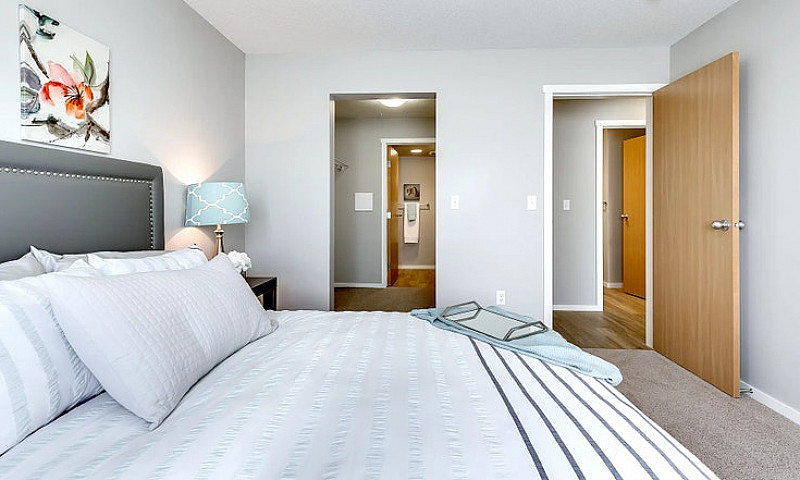 Pet-Friendly One Bed...