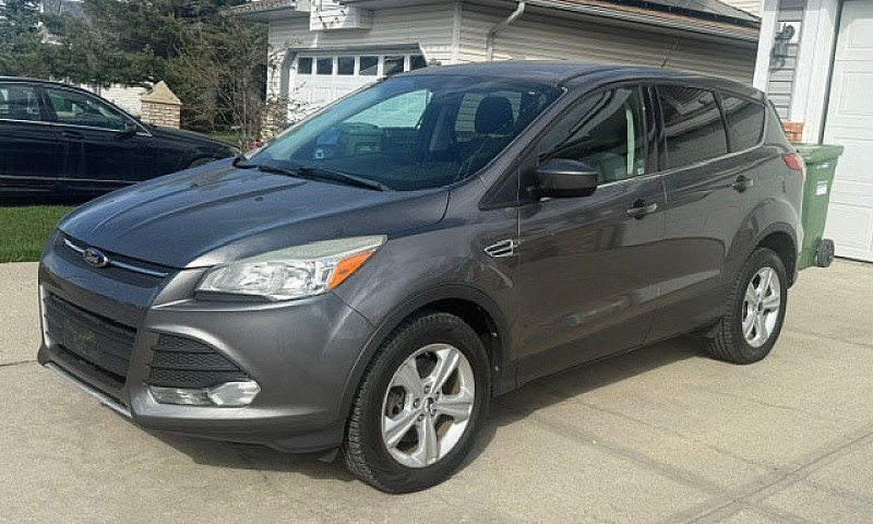 2014 Ford Escape Se ...