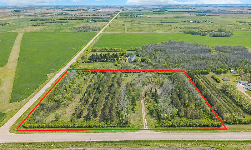 Serviced 10-Acre Tre...