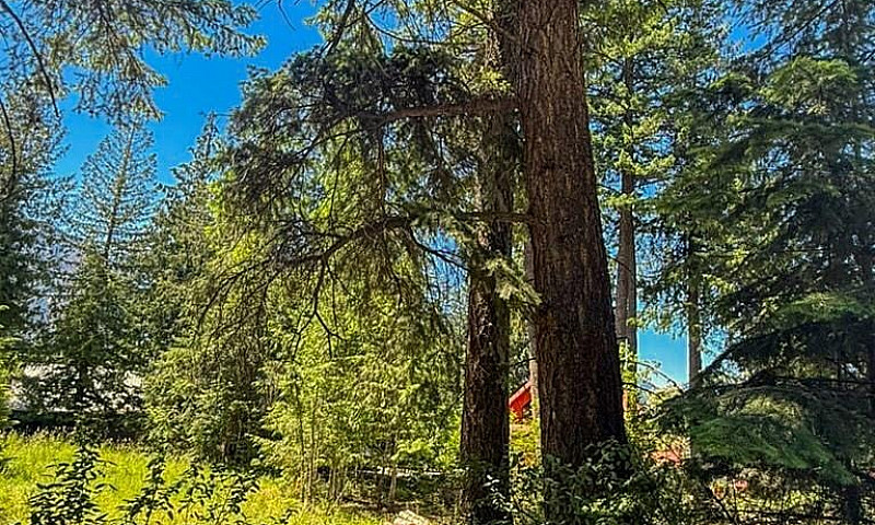 13525 Lafrance Creek...