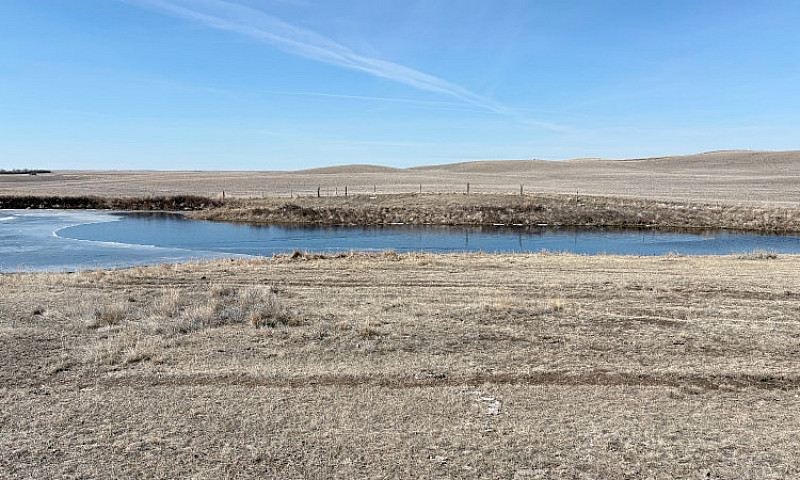 Farm Land For Sale W...