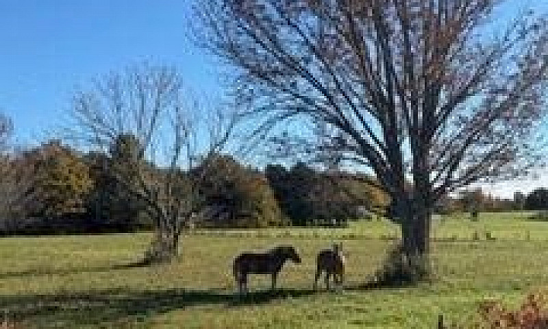 504054 Grey Rd 1 Roa...