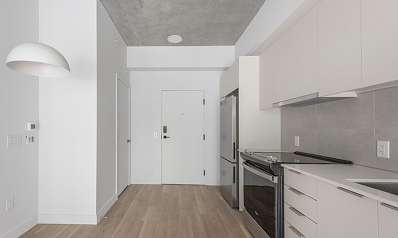 1 Bedroom Apartment ...
