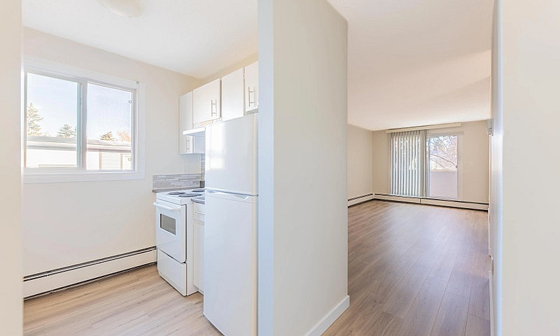Renovated Apartments...
