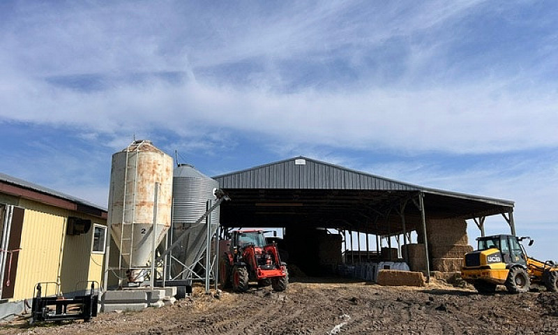 Dairy Farm For Sale...