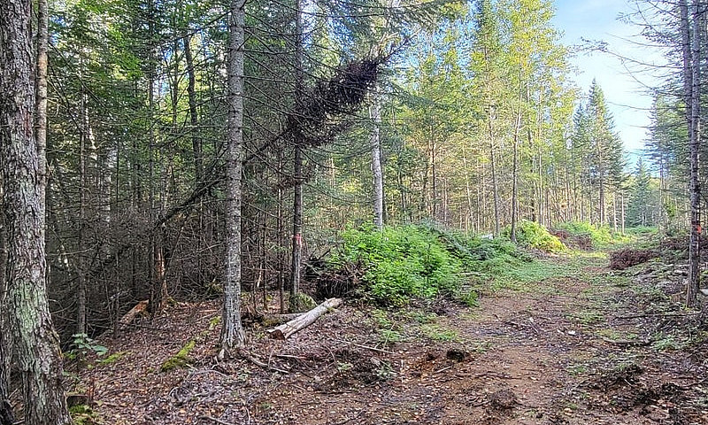 65 000$ - Terrain Ré...