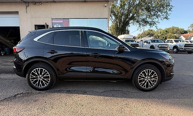 2023 Ford Escape Phe...