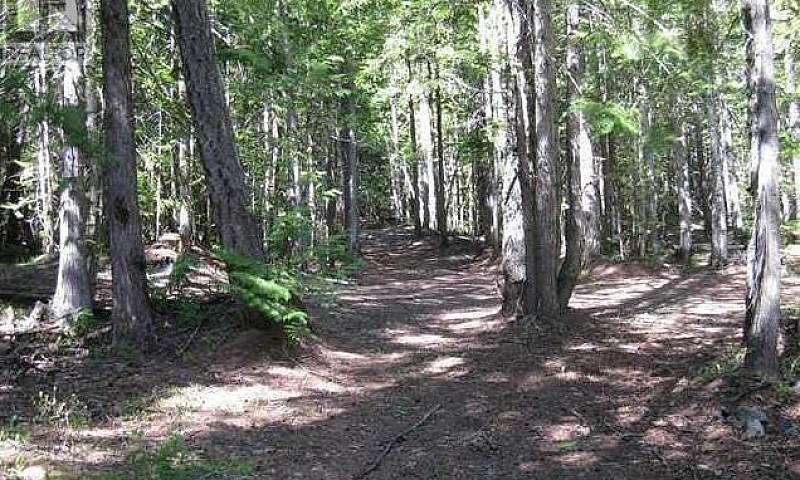 Lot 25 Upper Hills R...
