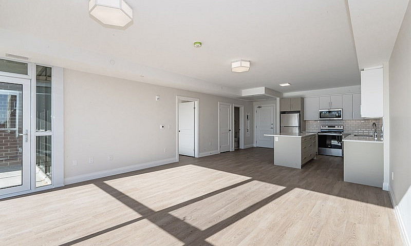Large 1 Bedroom Suit...
