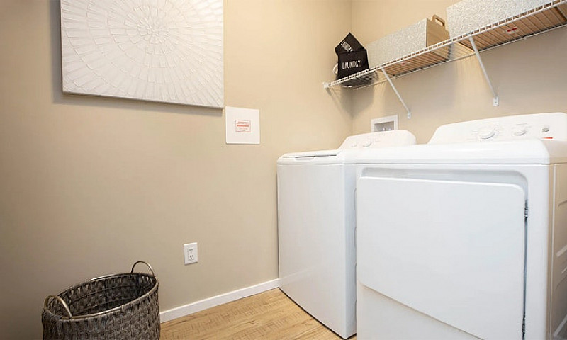Pet-Friendly One Bed...
