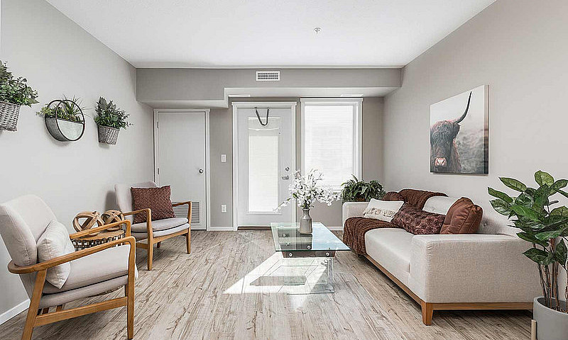Pet-Friendly One Bed...
