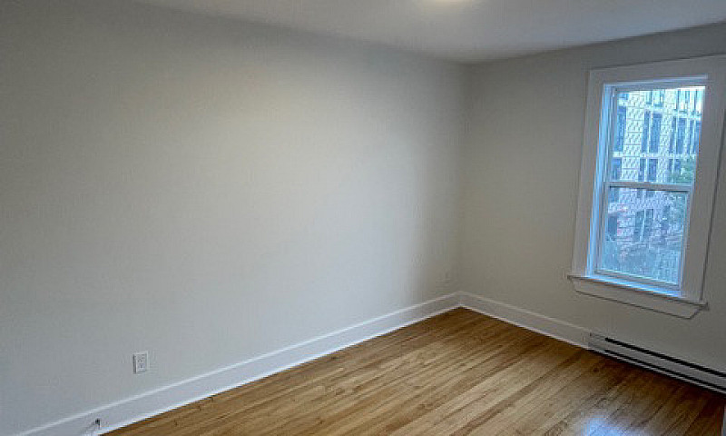 Newly Renovated 1 Be...