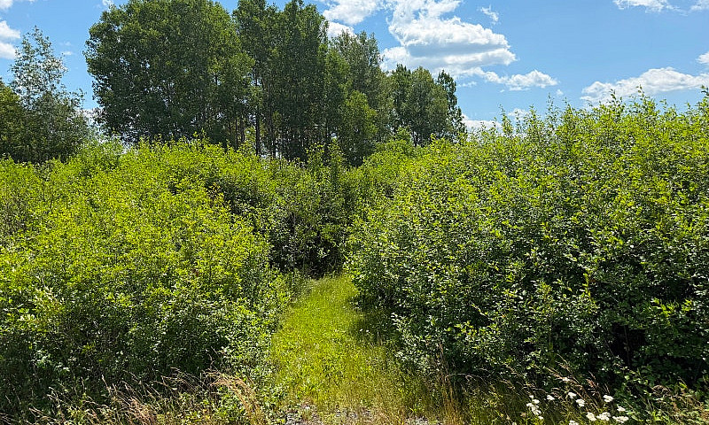 1-Acre Building Lot ...