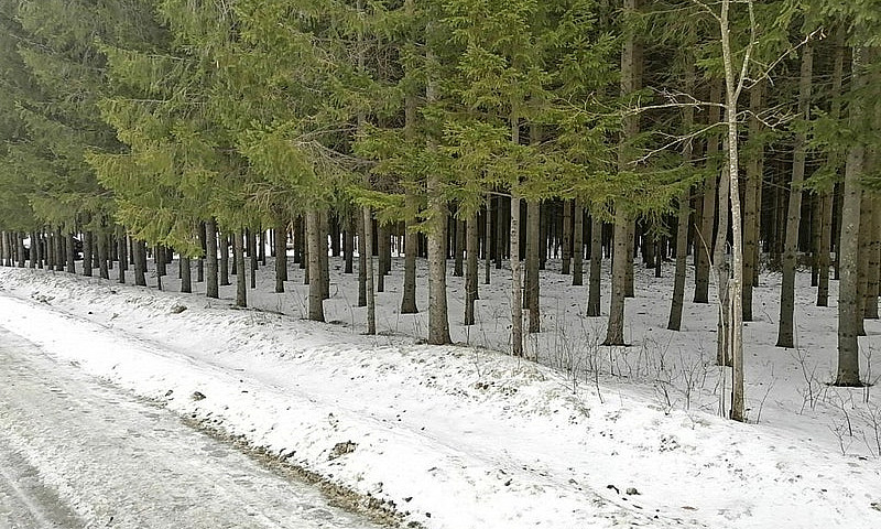 148 500$ - Terrain R...