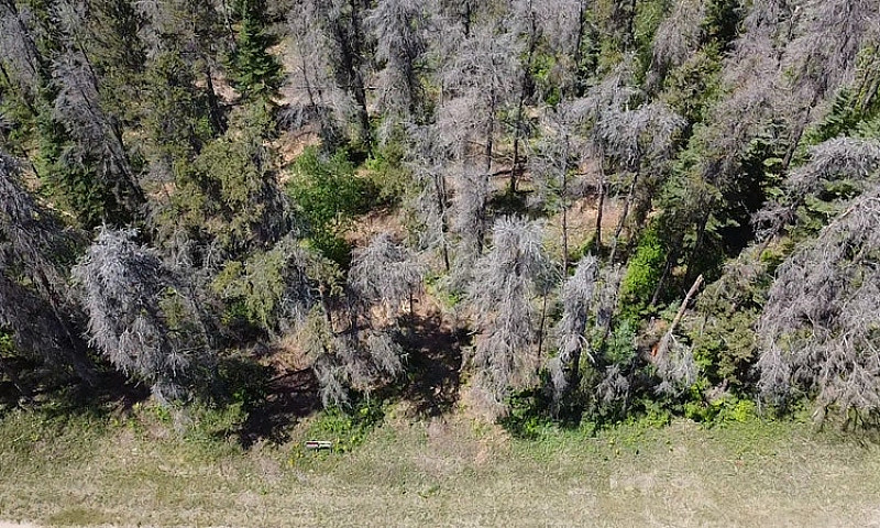 Stunning 1.09Acre Pr...