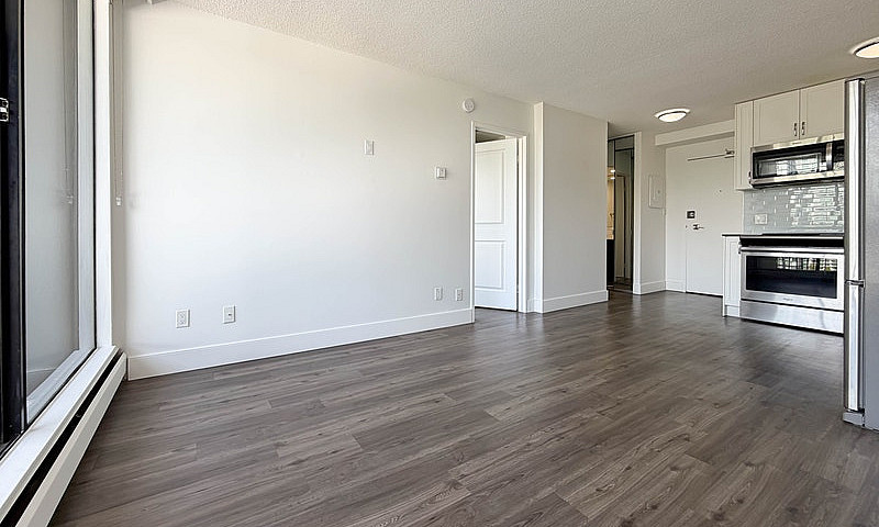 1 Bedroom Apartment ...