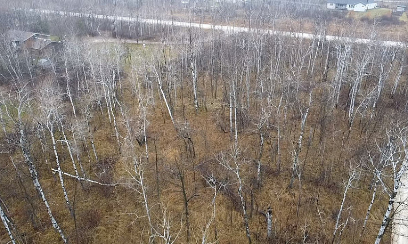 2 Acre Lot In La Bro...