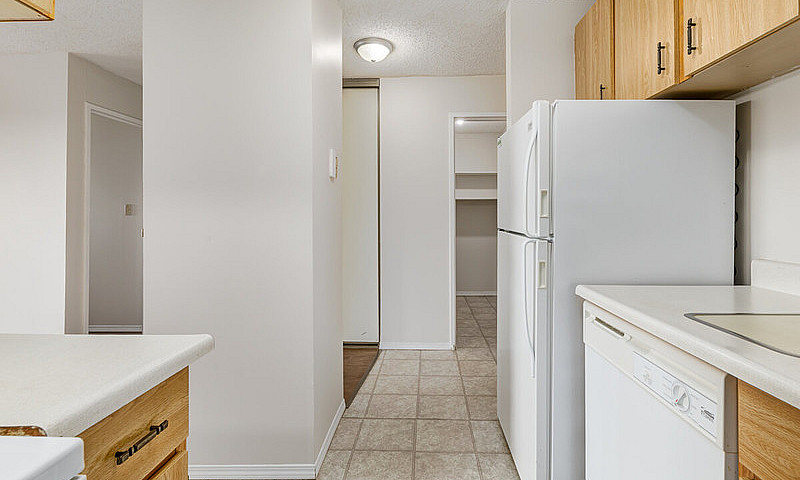 Modern Apartments Wi...