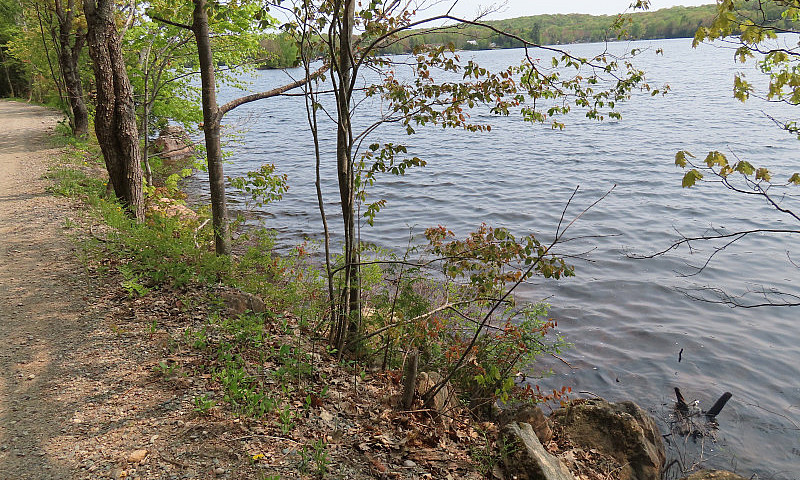 Prince Lake Lot...