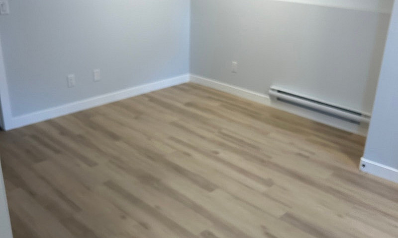 New Build Family Hom...
