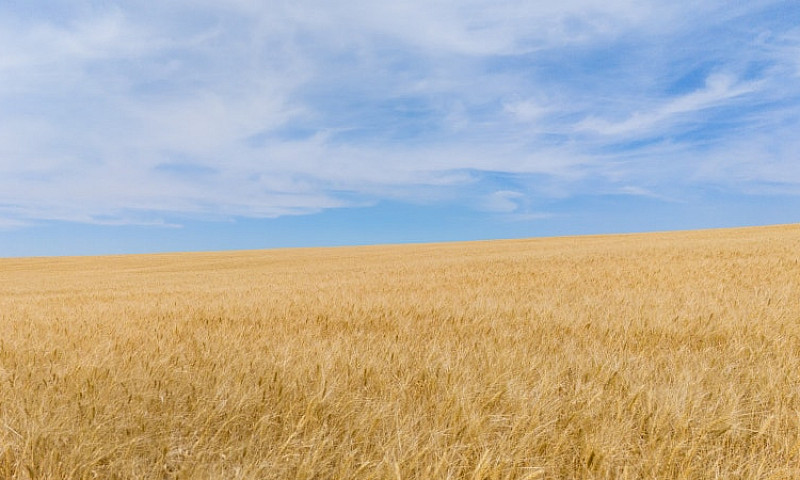 214.99 Acres | Rm Of...