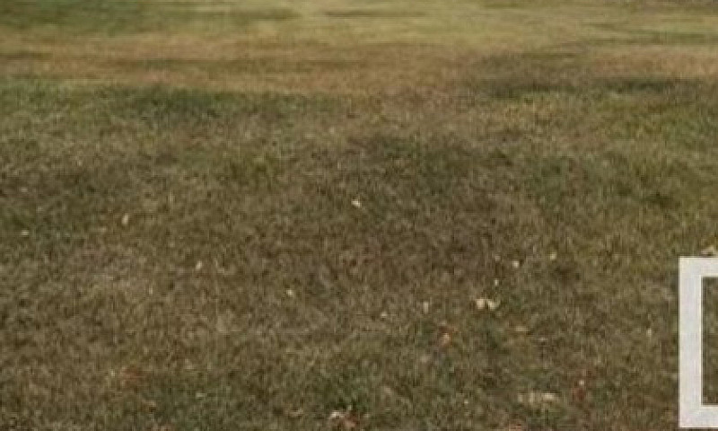 Lot In Vegreville Al...