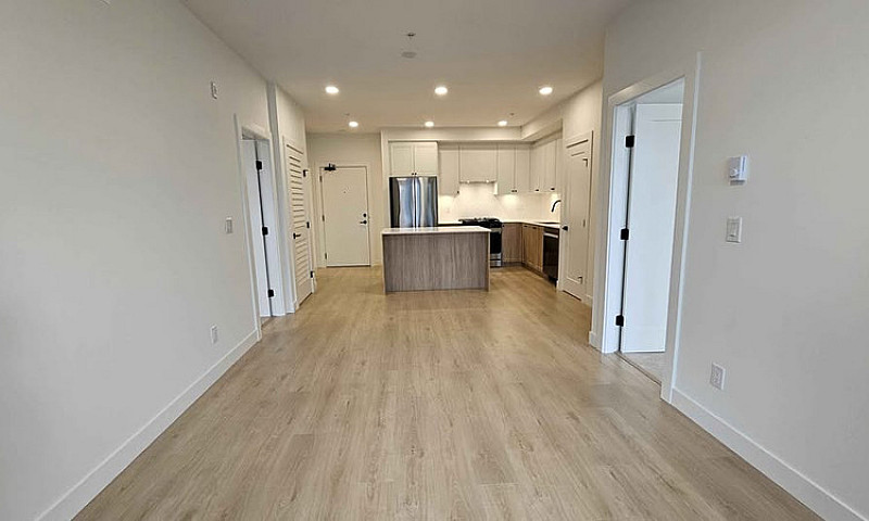 Luxury Penthouse 2 B...