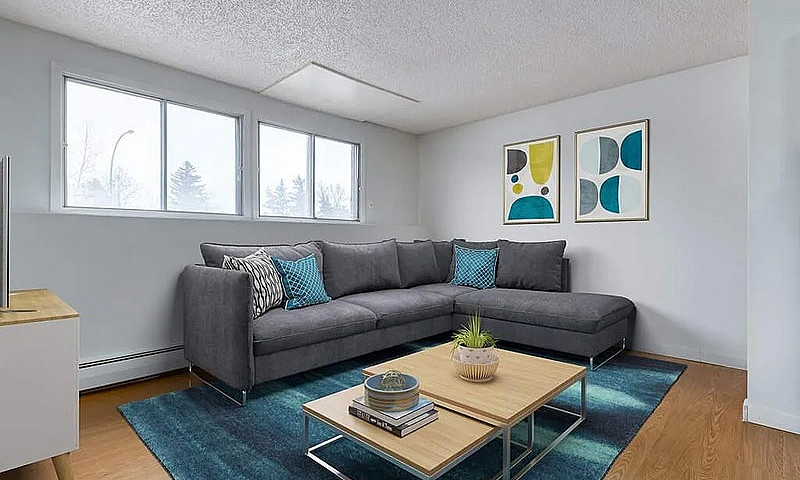 Modern Apartments Wi...
