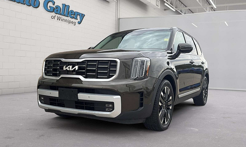 2023 Kia Telluride S...