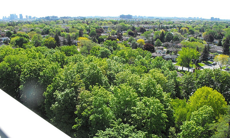 Unobstructed Park Vi...
