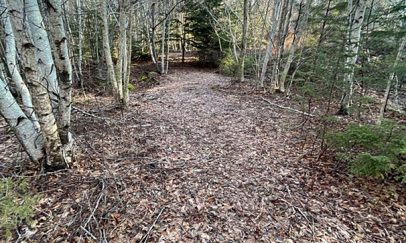 13.95 Acre Riverfron...