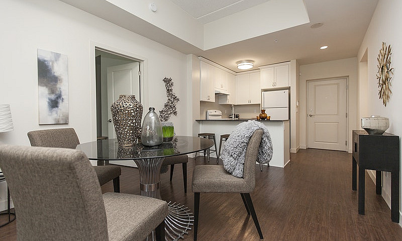 1 Bedroom Apartment ...