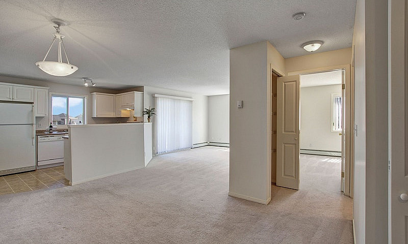 2 Bed X 1 Bath Apart...