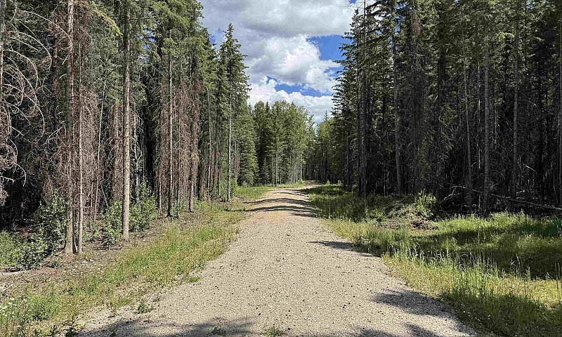 Rr171 North Of Hwy 7...