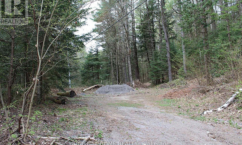 1019 Forrester Trail...