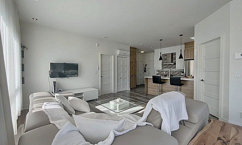 365 000$ - Condo À V...