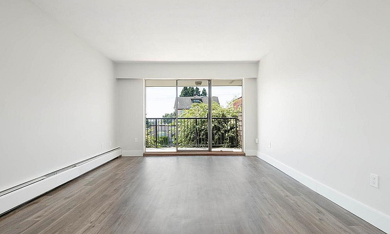 1 Bedroom Apartment ...