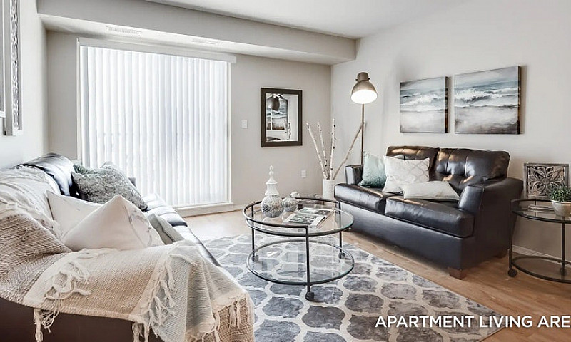 Pet-Friendly Two Bed...