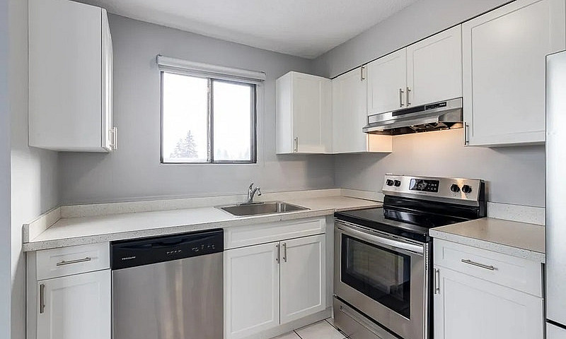 Modern Apartments Ov...