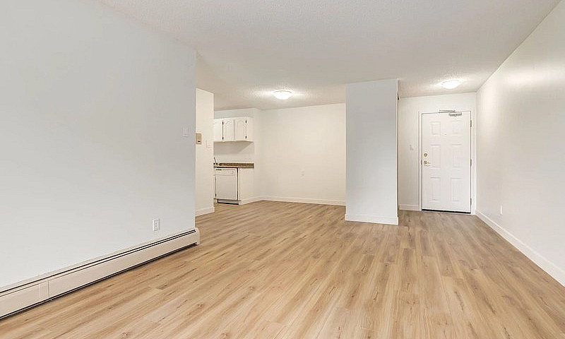 Spacious And Pet-Fri...