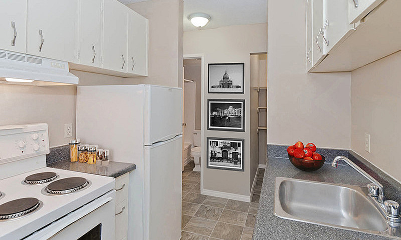 1 Bedroom Basement -...