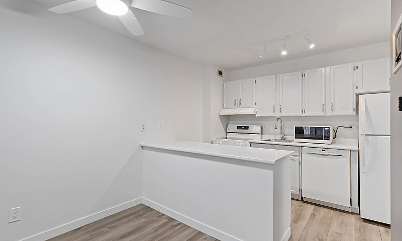 1 Bedroom Suite In W...