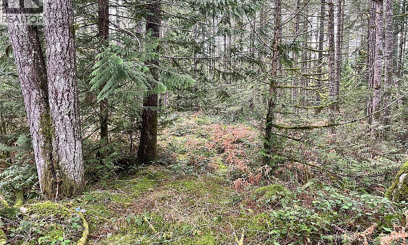 Lot 2 Walker Rd Dunc...